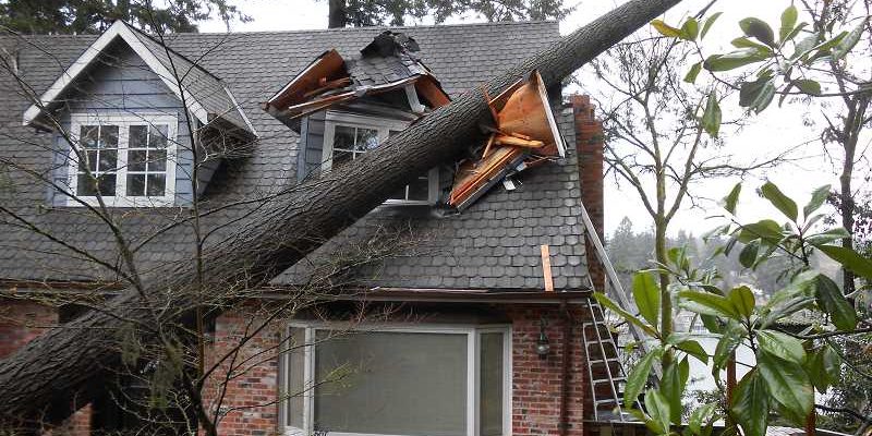 Storm repair in maryland Storm repair in maryland