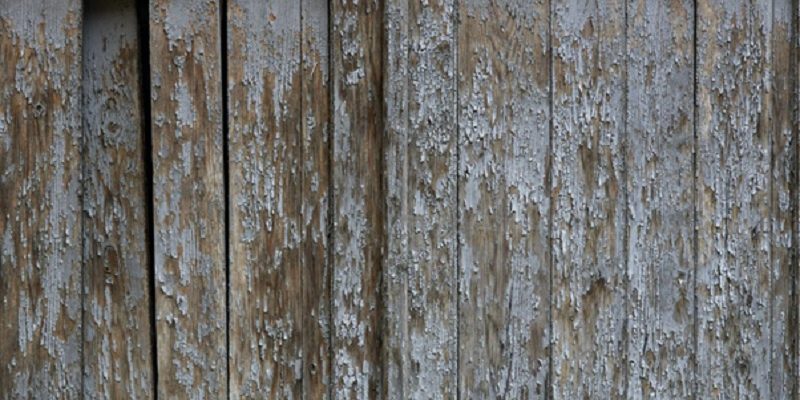 water damaged wood Effective Tips To Minimize Moisture Damage